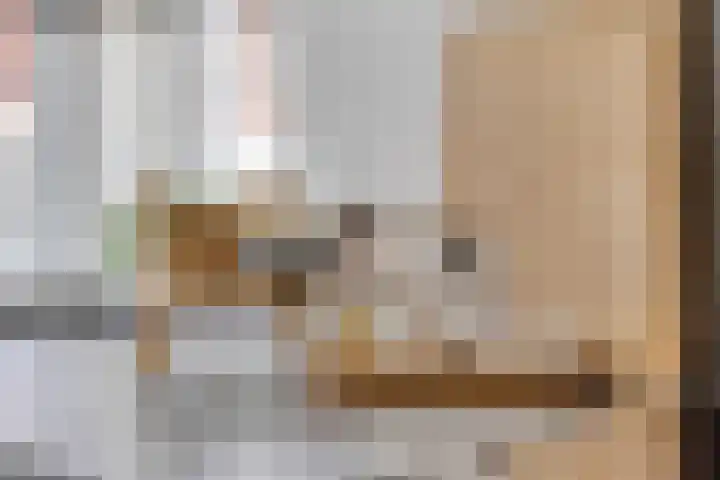 De Duus 13 Ootmarsum thumbnail 17