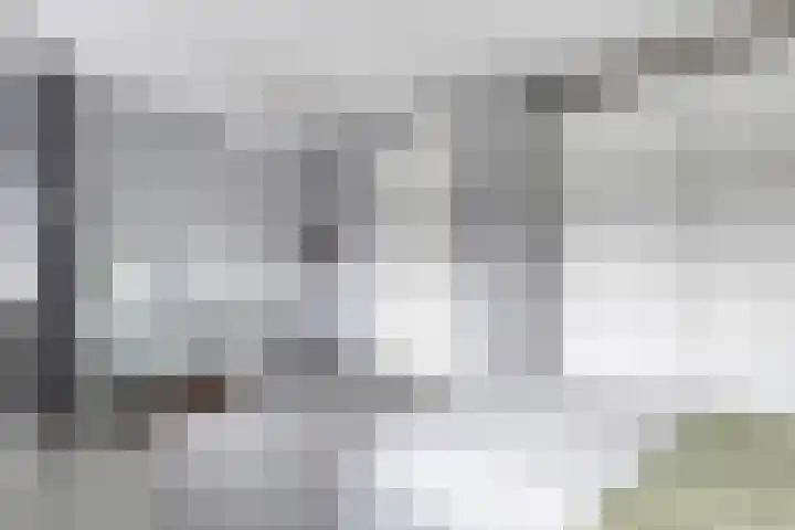 De Duus 13 Ootmarsum thumbnail 27