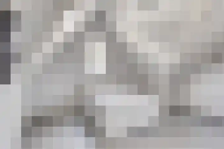De Duus 13 Ootmarsum thumbnail 33