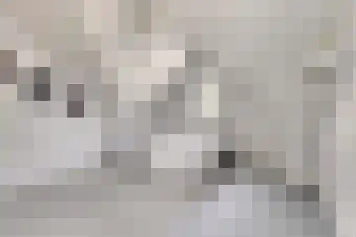 De Duus 13 Ootmarsum thumbnail 34