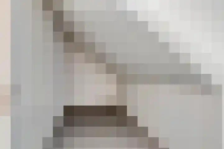 De Duus 13 Ootmarsum thumbnail 36