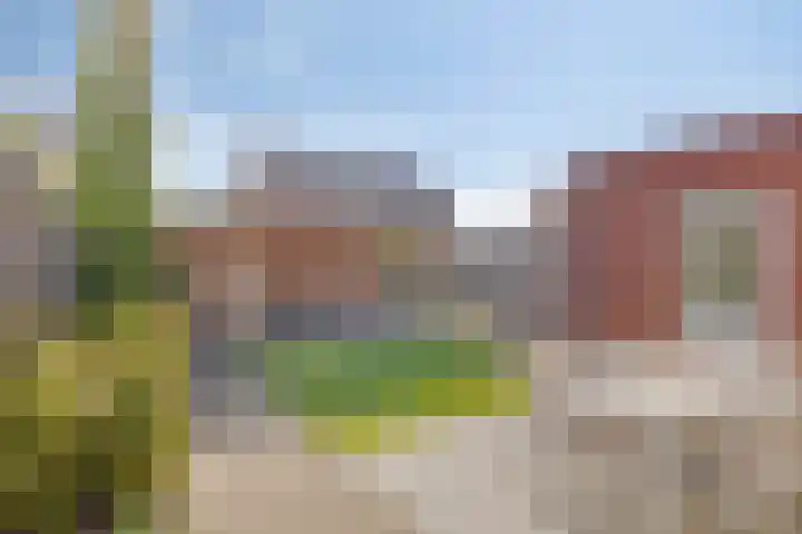 De Duus 13 Ootmarsum thumbnail 37
