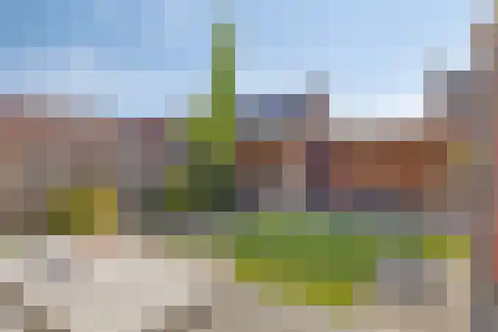 De Duus 13 Ootmarsum thumbnail 38