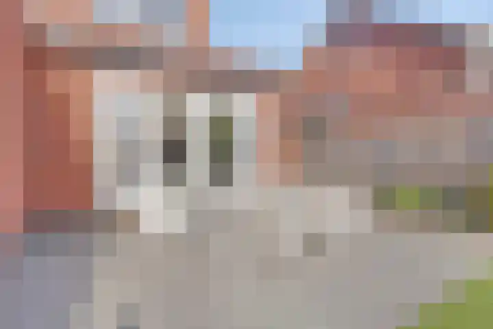 De Duus 13 Ootmarsum thumbnail 39