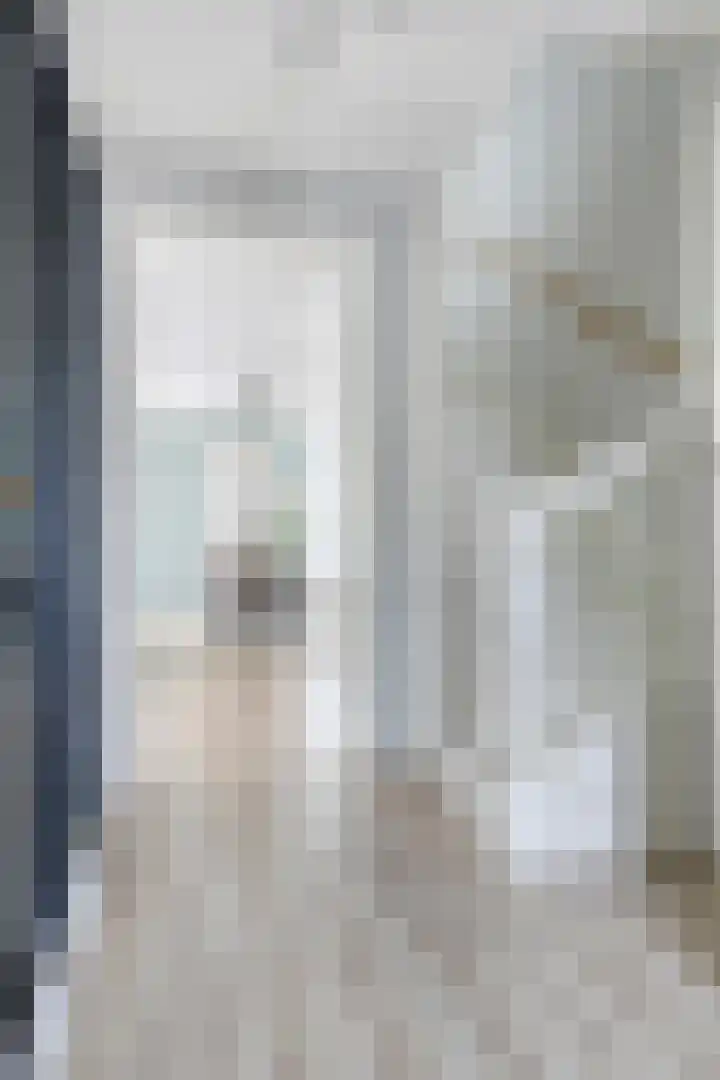 De Duus 13 Ootmarsum thumbnail 4
