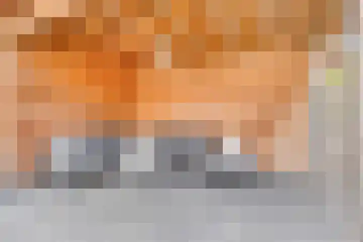 De Duus 13 Ootmarsum thumbnail 42