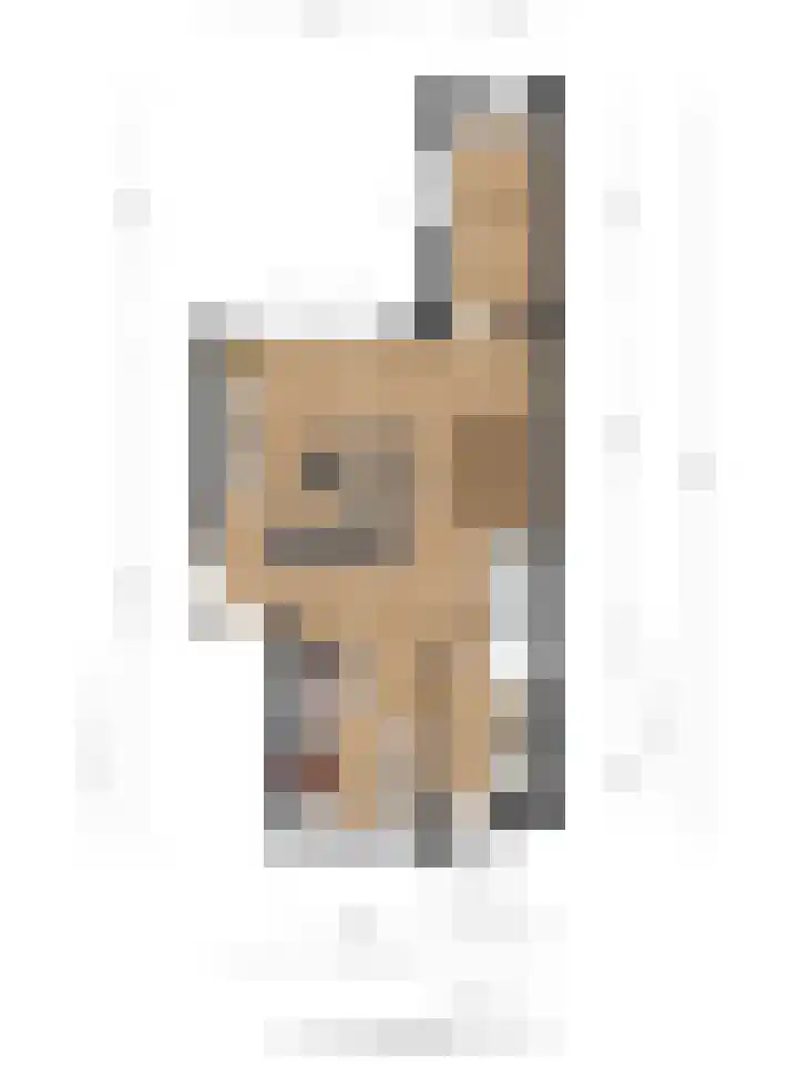 De Duus 13 Ootmarsum thumbnail 47
