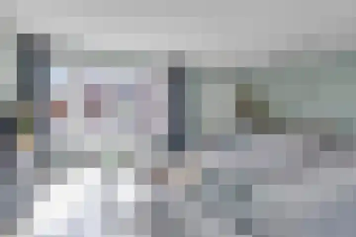 De Duus 13 Ootmarsum thumbnail 5