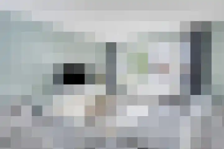 De Duus 13 Ootmarsum thumbnail 6