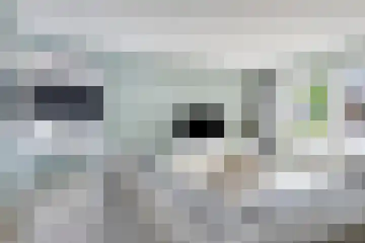 De Duus 13 Ootmarsum thumbnail 7