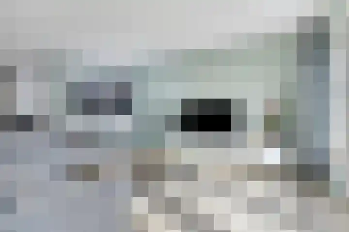 De Duus 13 Ootmarsum thumbnail 8