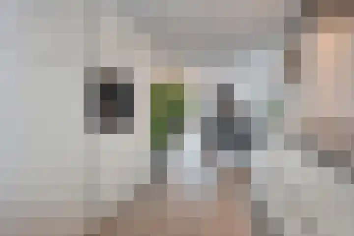 De Duus 17 Ootmarsum thumbnail 10