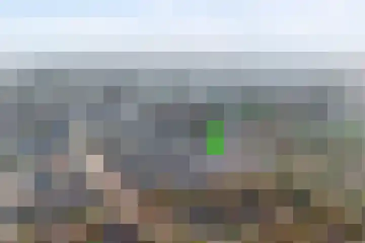 De Duus 17 Ootmarsum thumbnail 21