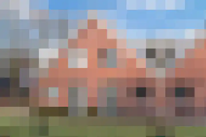 De Dwarswal 25 en Veenendaal
