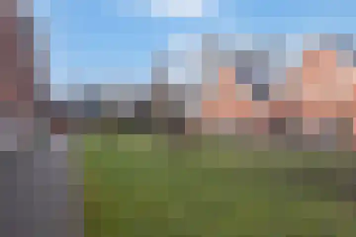 De Dwarswal 25 Veenendaal thumbnail 34