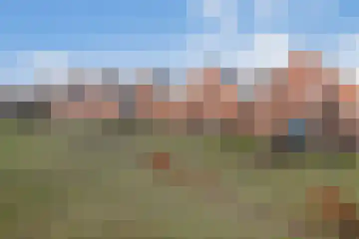 De Dwarswal 25 Veenendaal thumbnail 35