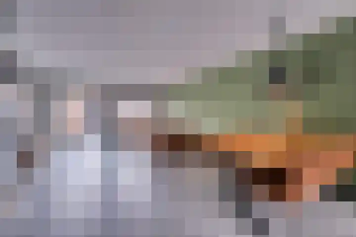 De Dwarswal 25 Veenendaal thumbnail 4