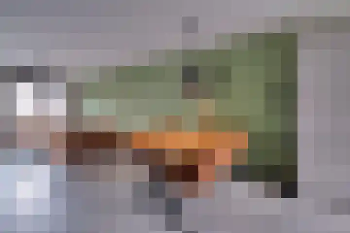 De Dwarswal 25 Veenendaal thumbnail 5