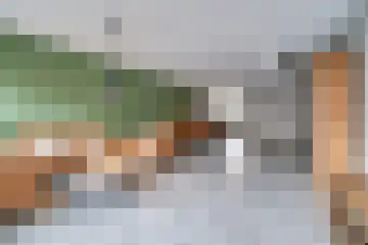 De Dwarswal 25 Veenendaal thumbnail 8