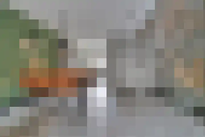 De Dwarswal 25 Veenendaal thumbnail 9