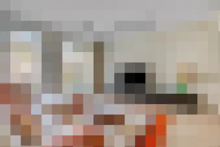 De Dwarswal 31 Veenendaal thumbnail 20