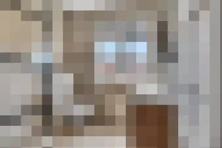De Dwarswal 31 Veenendaal thumbnail 32
