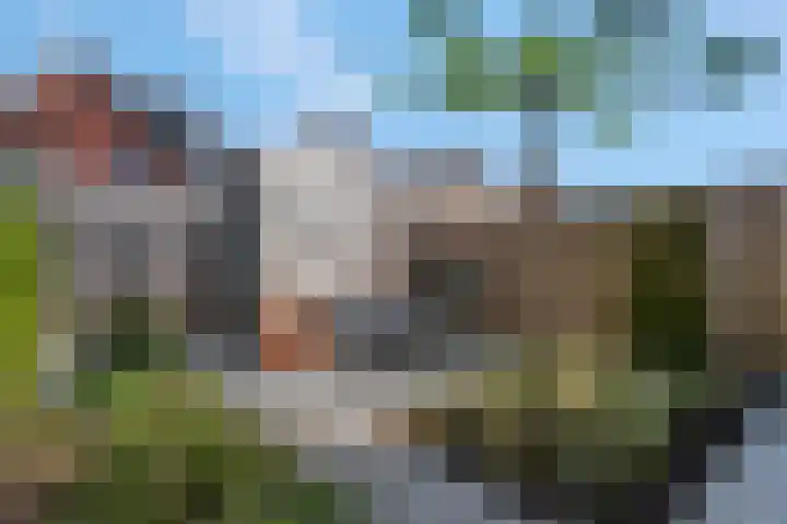 De Dwarswal 31 Veenendaal thumbnail 35