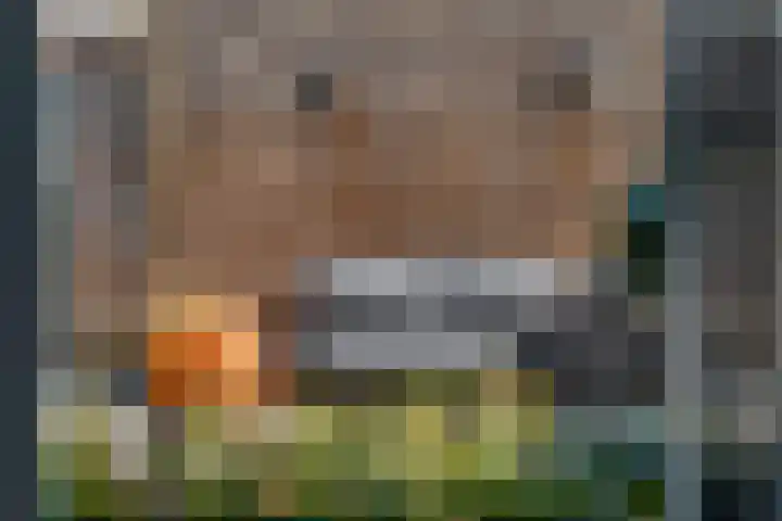 De Dwarswal 31 Veenendaal thumbnail 36