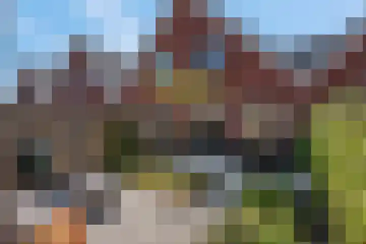 De Dwarswal 31 Veenendaal thumbnail 37