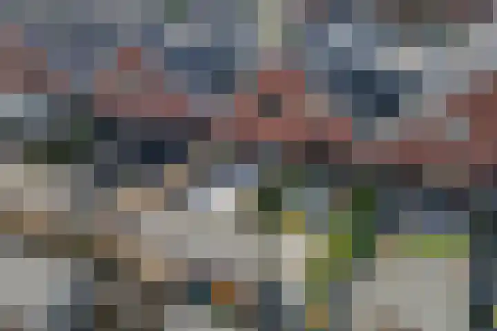 De Dwarswal 31 Veenendaal thumbnail 39