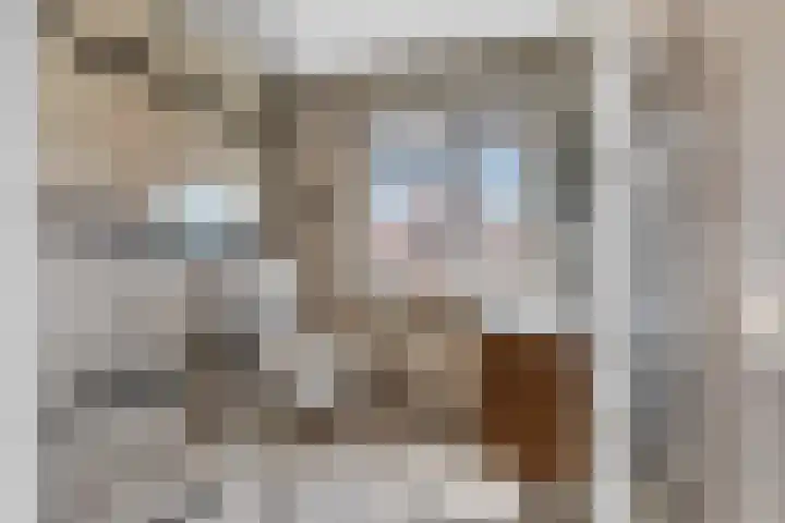 De Dwarswal 31 Veenendaal thumbnail 4