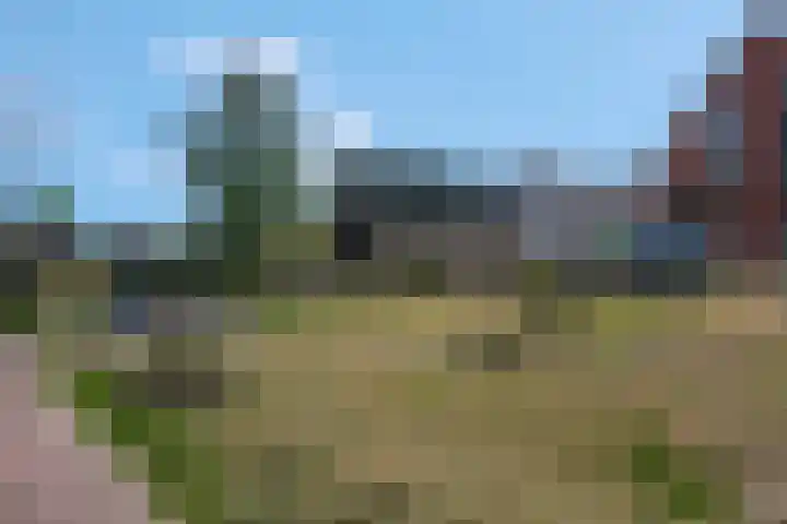 De Dwarswal 31 Veenendaal thumbnail 42