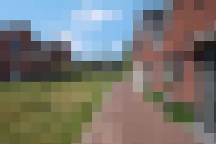 De Dwarswal 31 Veenendaal thumbnail 43