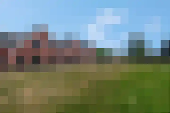 De Dwarswal 31 Veenendaal thumbnail 6