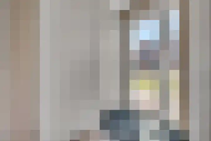 De Dwarswal 31 Veenendaal thumbnail 8