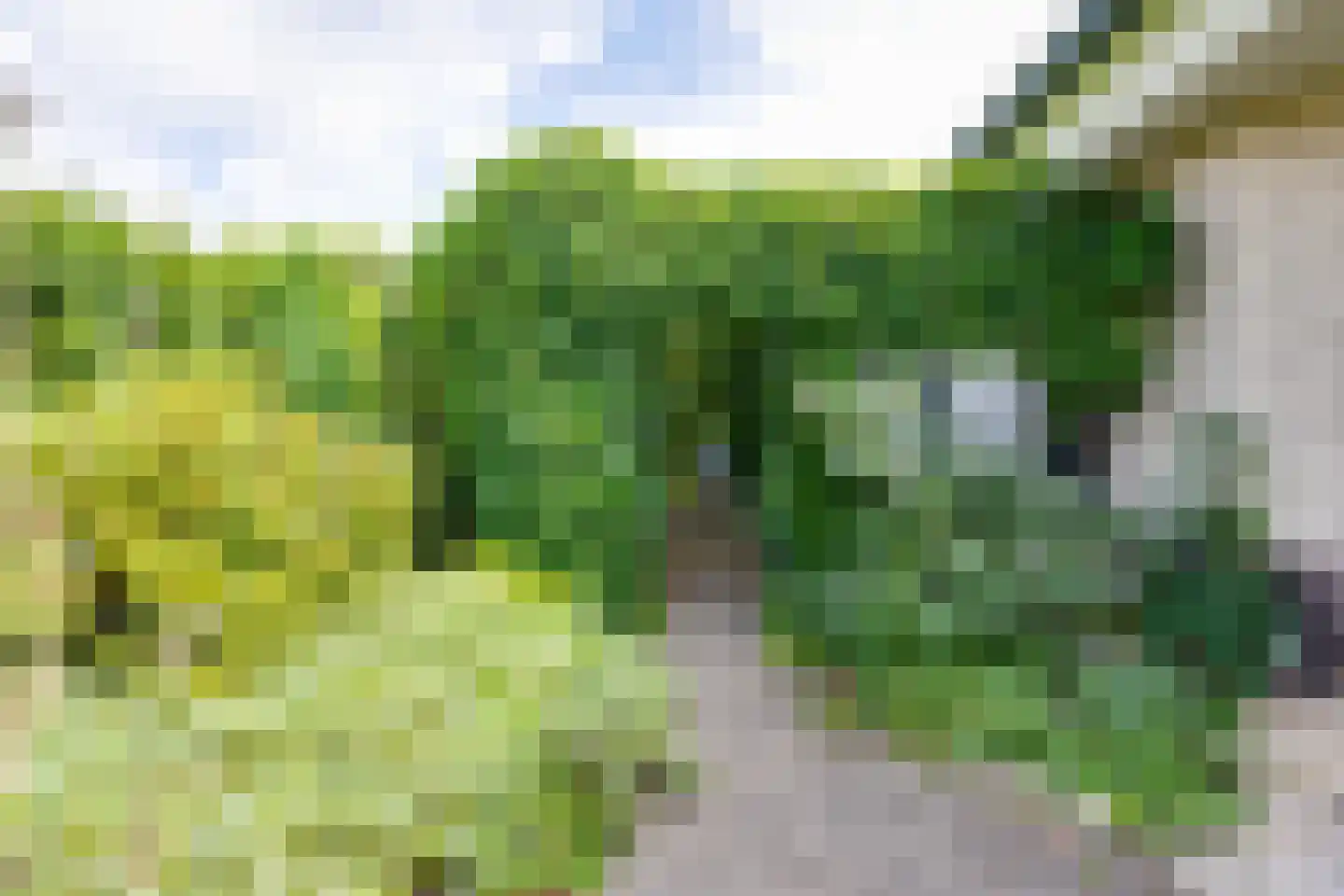 De Dweel 14 Elten, Duitsland thumbnail 40