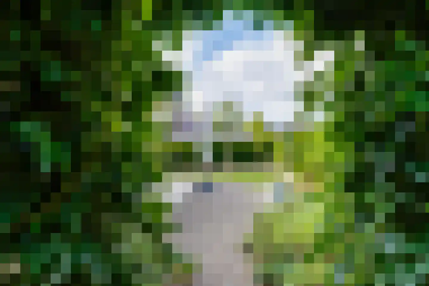 De Dweel 14 Elten, Duitsland thumbnail 41