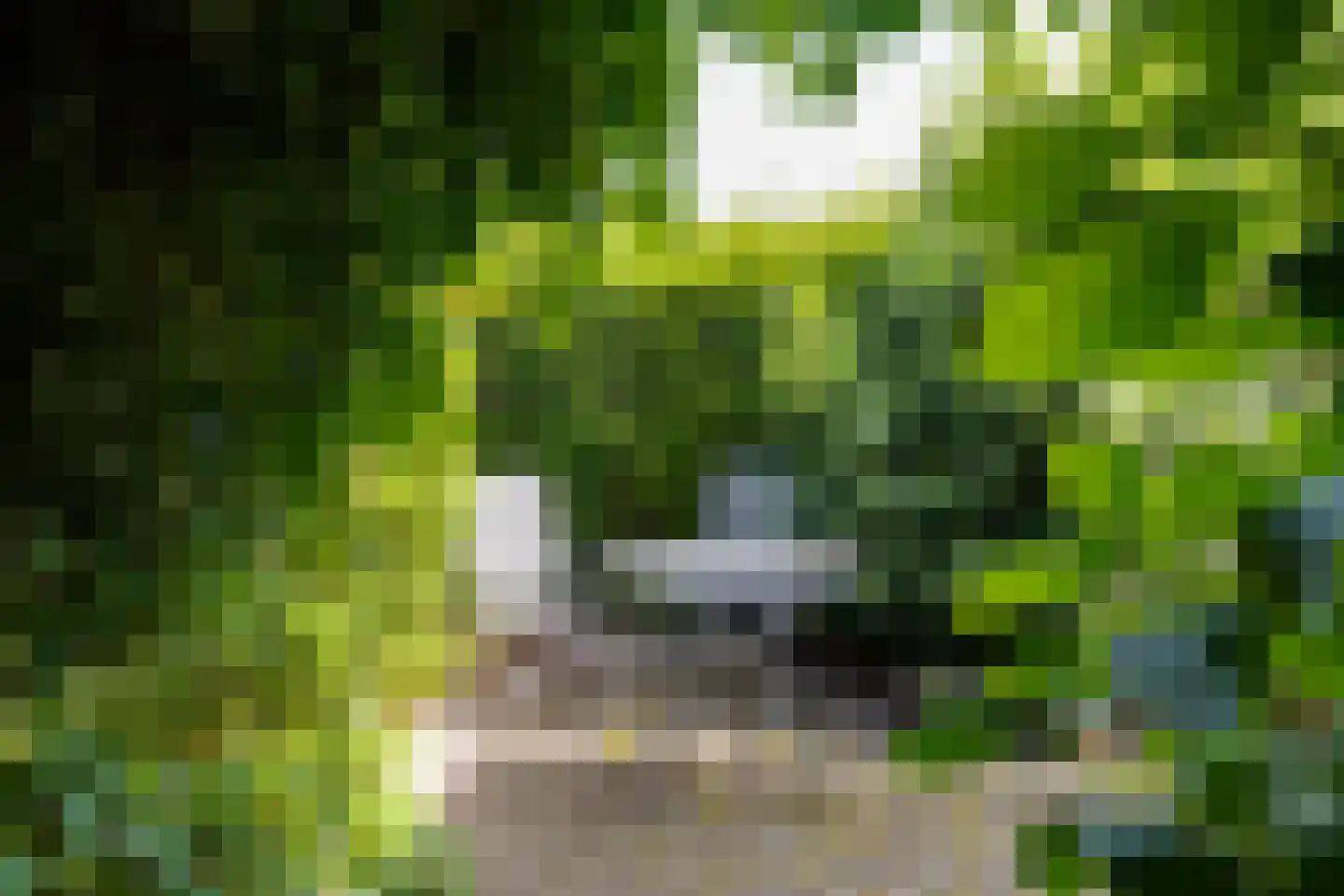 De Dweel 14 Elten, Duitsland thumbnail 42