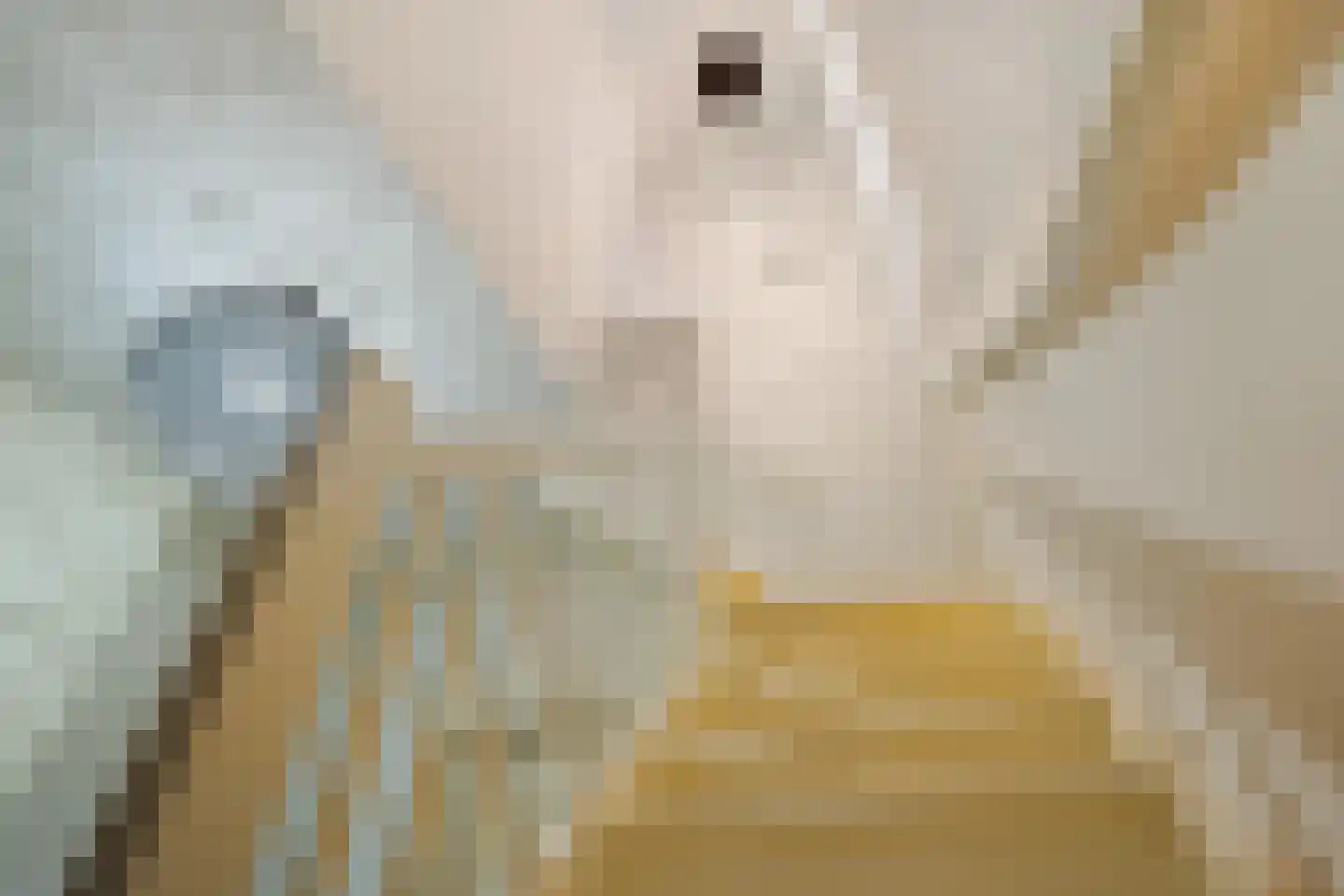 De Dyk 16 Woudsend thumbnail 10