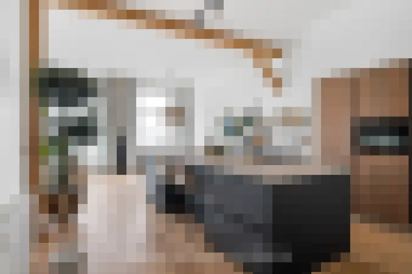 De Dyk 16 Woudsend thumbnail 11