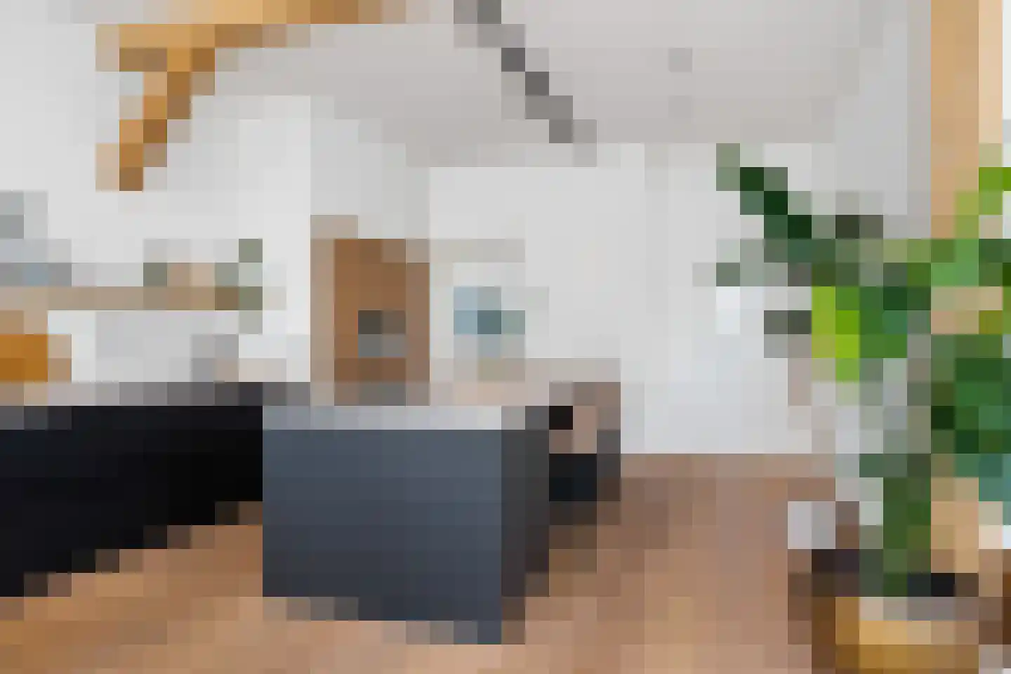 De Dyk 16 Woudsend thumbnail 13