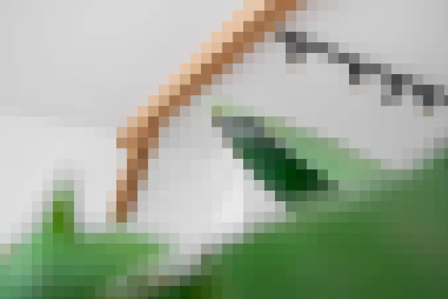 De Dyk 16 Woudsend thumbnail 21