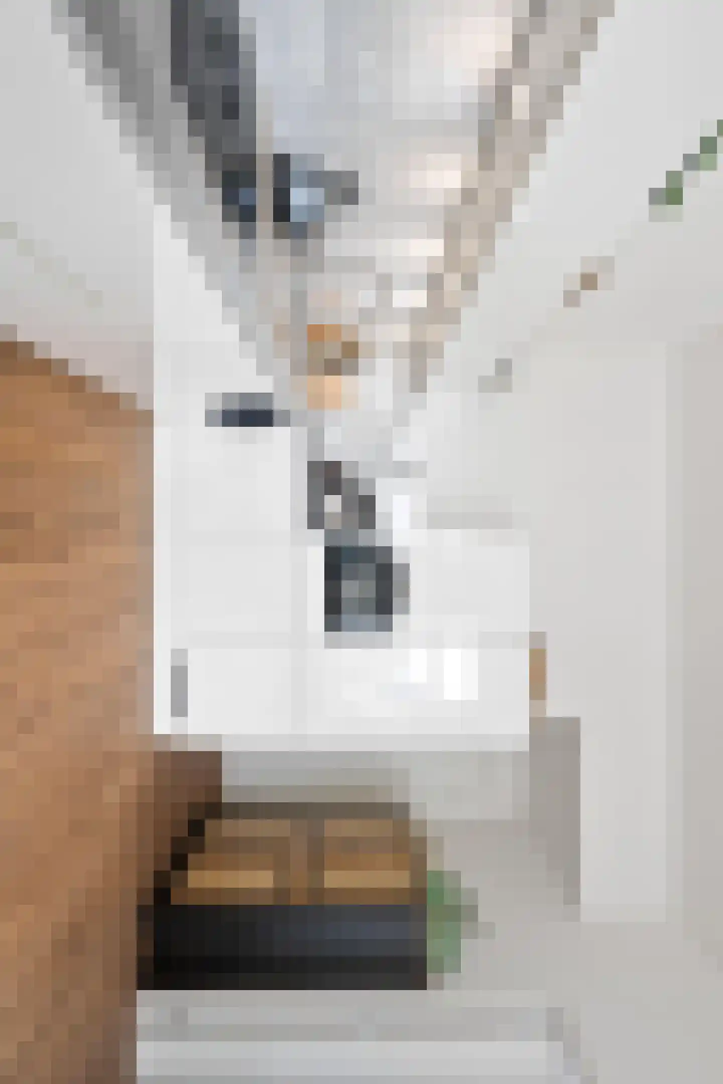 De Dyk 16 Woudsend thumbnail 21