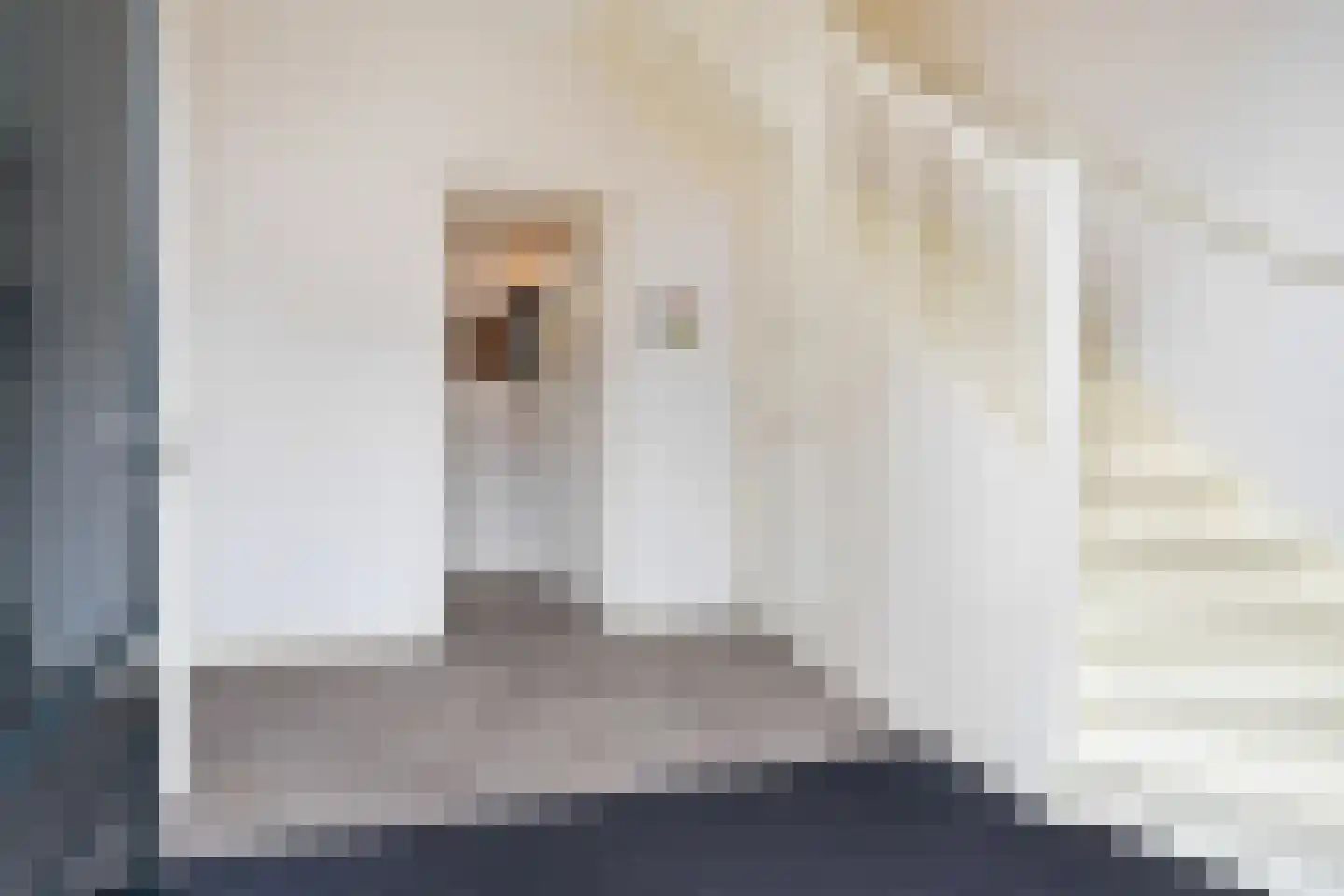 De Dyk 16 Woudsend thumbnail 30