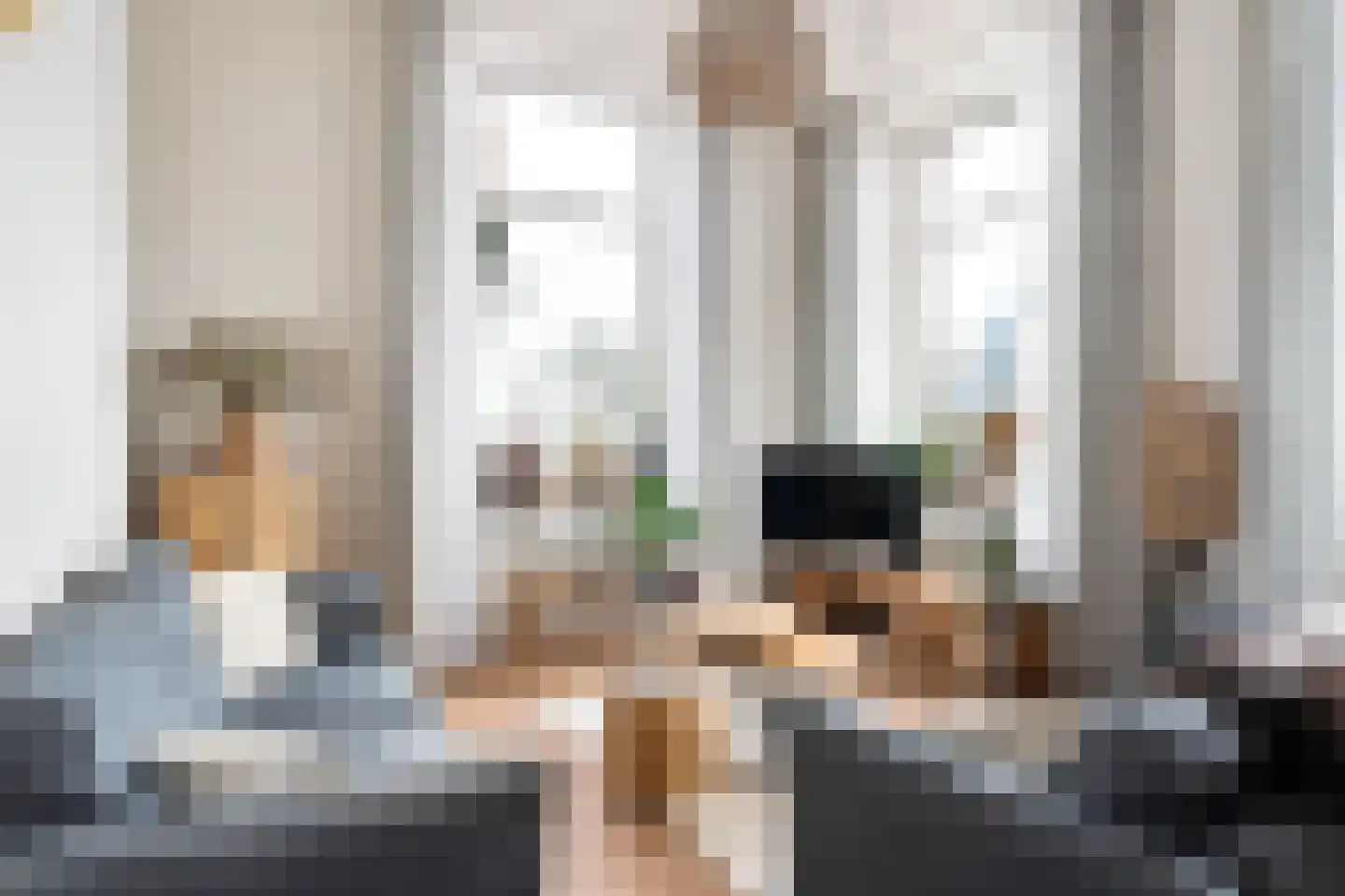 De Dyk 16 Woudsend thumbnail 33