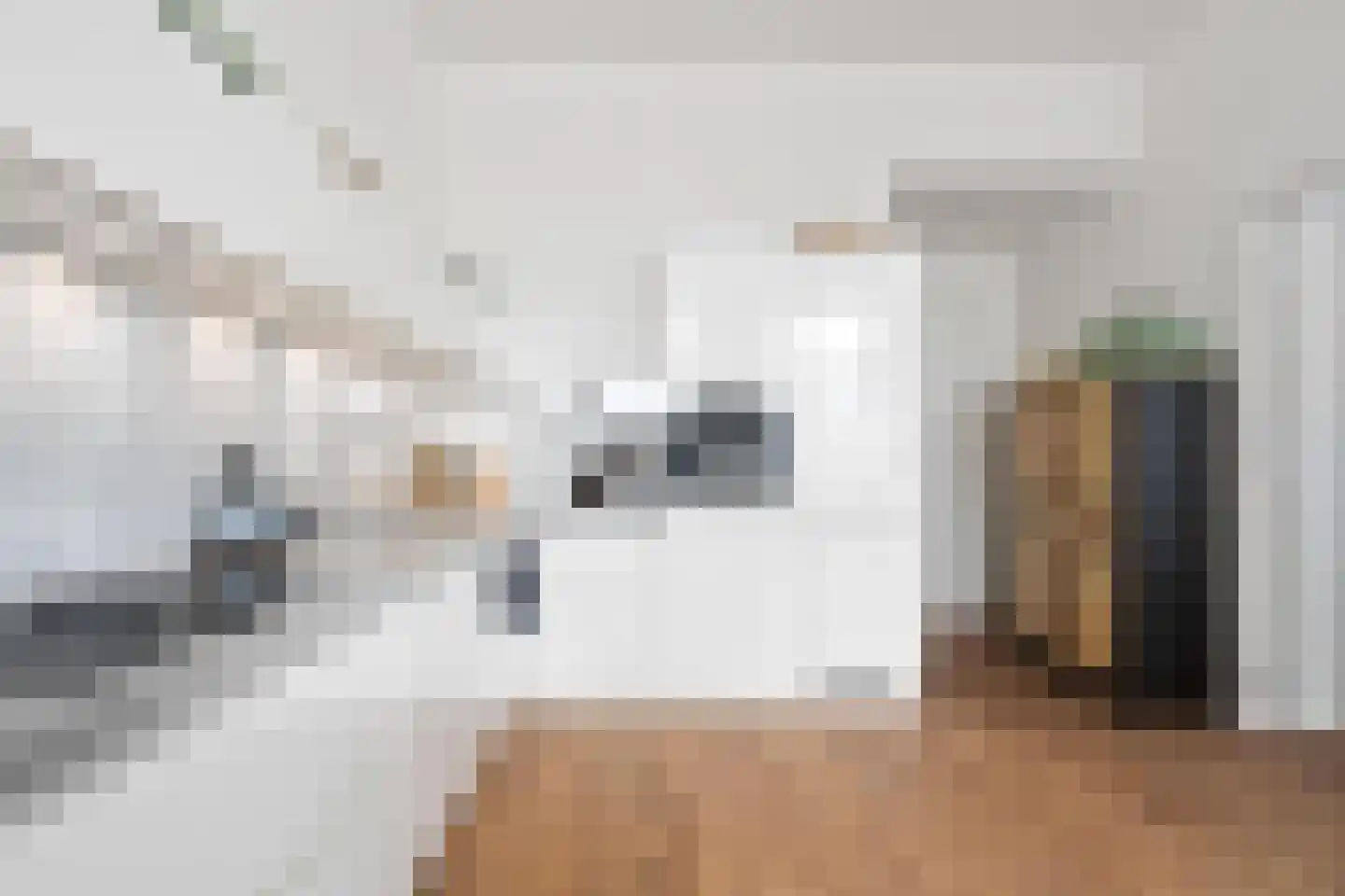 De Dyk 16 Woudsend thumbnail 38