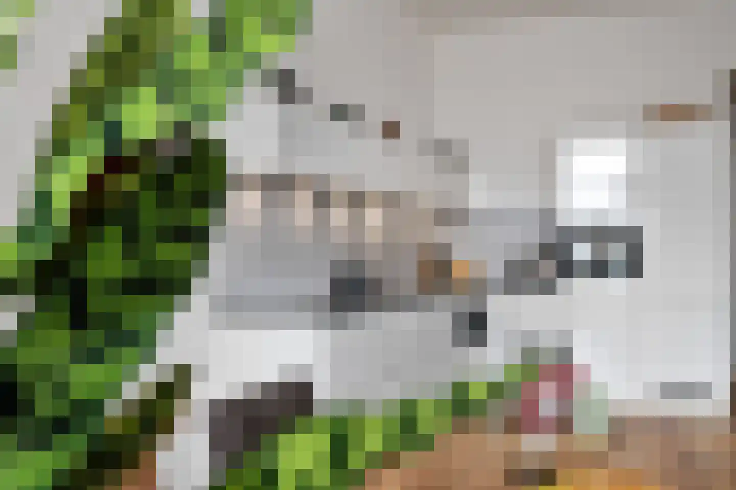 De Dyk 16 Woudsend thumbnail 39