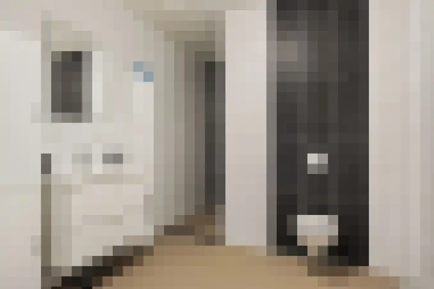 De Dyk 16 Woudsend thumbnail 42