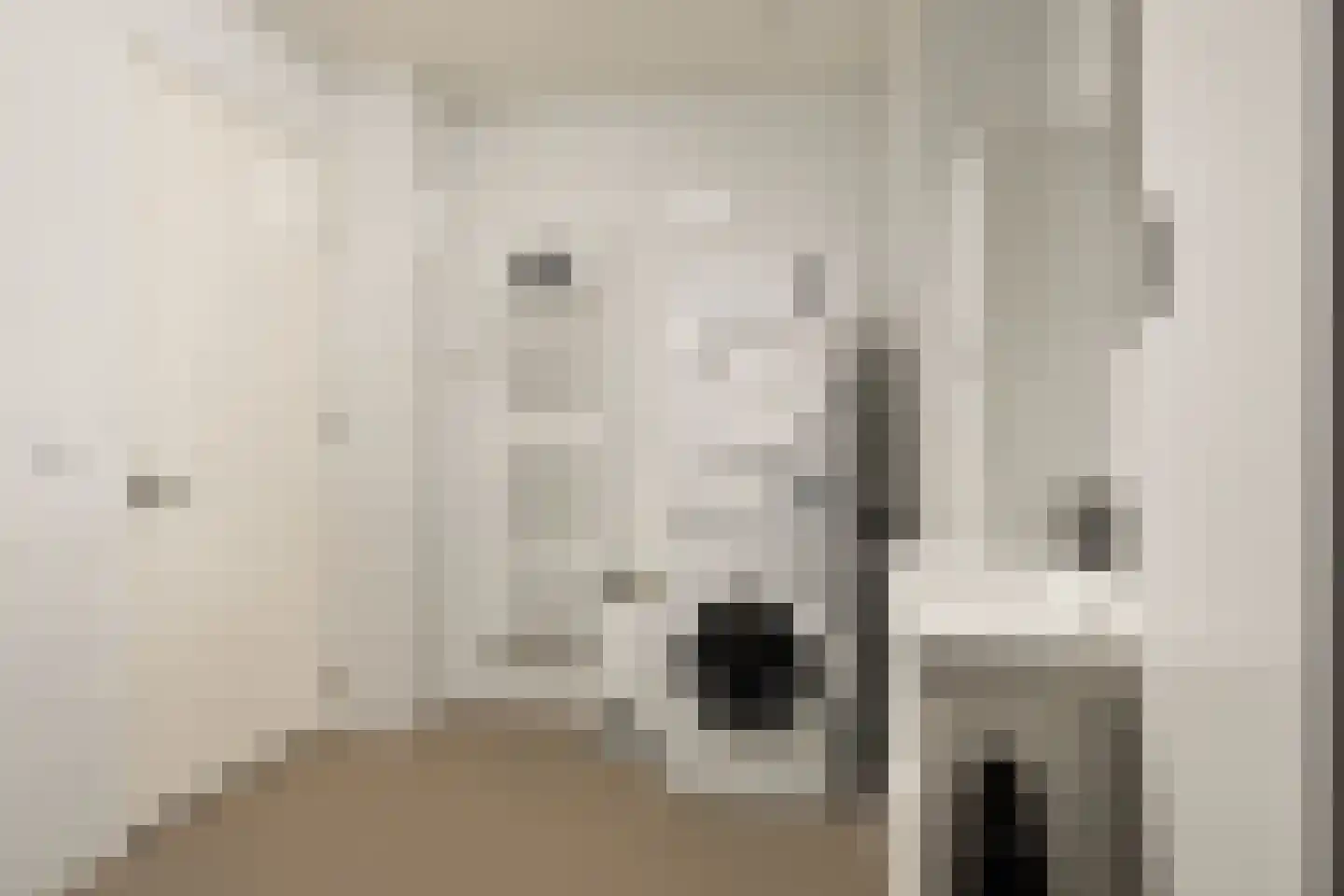De Dyk 16 Woudsend thumbnail 43