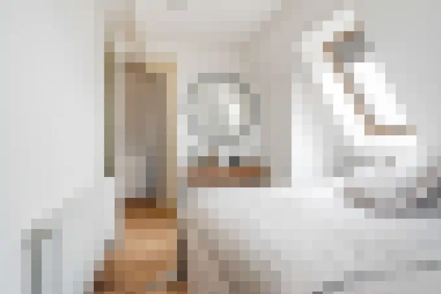 De Dyk 16 Woudsend thumbnail 50